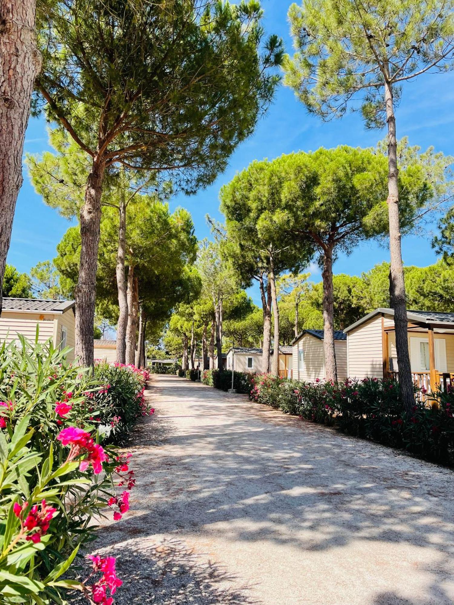Camping Le Calypso 5 Etoiles Torreilles Exterior foto